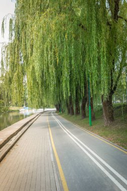 park/ağaçlar su deposu güneşli bir gün boyunca Nehri boyunca ağaçlar