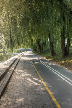Parkta yeşil ağaçlı bisiklet yolu. Güzel yaz manzarası
