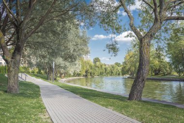 park/ağaçlar su deposu güneşli bir gün boyunca Nehri boyunca ağaçlar
