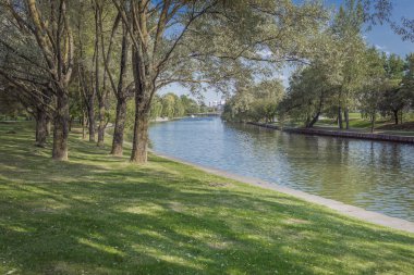 Şehir parkındaki nehir. Toprak seti boyunca ağaçlar. Güzellik doğası