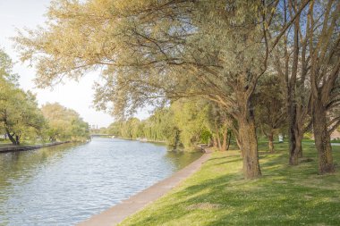 Şehir parkındaki nehir. Toprak seti boyunca ağaçlar. Güzellik doğası