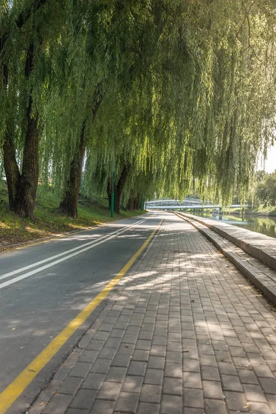 Cyklistická stezka v parku se zelenými stromy. Krásná letní krajina — Stock fotografie