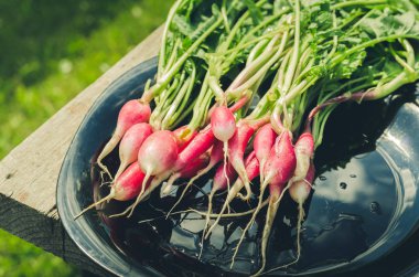 Bahçedeki bir bankta siyah bir kasede turp ve turp paketleri. Üst görünüm