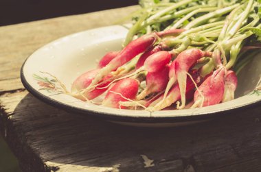 Bahçede taze turp / köy usulü: güneş ışığında bahçede taze turp, seçici odak