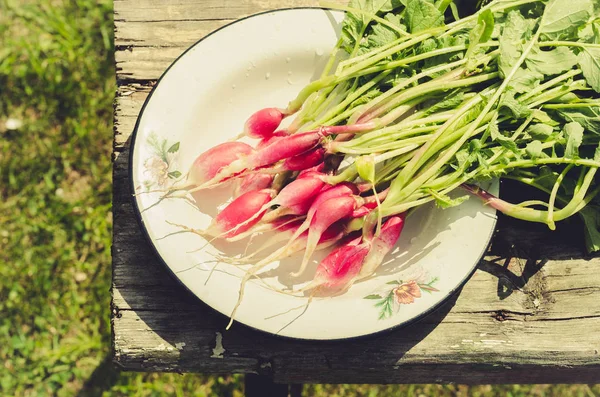 Radis Frais Dans Style Jardin Rustique Radis Frais Sur Une — Photo