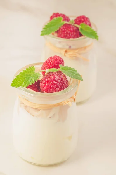 新鲜的自制酸奶 用新鲜的覆盆子和薄荷装饰 两个玻璃瓶 用新鲜的自制酸奶装饰新鲜的覆盆子和薄荷 有选择的焦点 — 图库照片