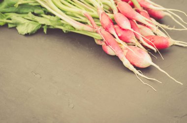 Taştan bir zemin üzerinde turp / koyu taştan bir zemin üzerinde turp, seçici odak ve telif alanı