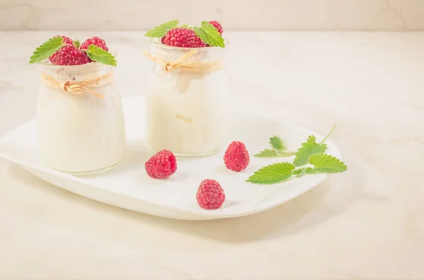 两个玻璃酸奶与覆盆子和薄荷糖 两个玻璃酸奶与覆盆子和薄荷糖在一个白色托盘上 有选择的焦点 — 图库照片