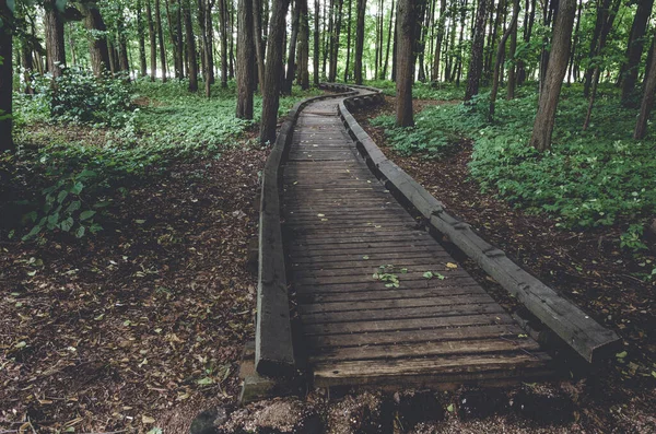 Ancienne Passerelle Planches Bois Dans Forêt Verte Été — Photo