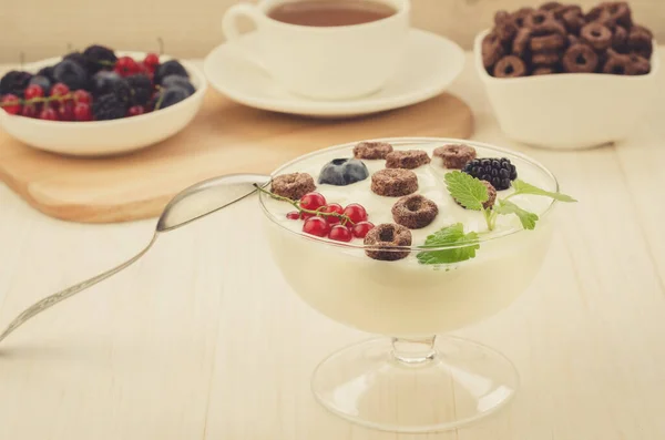 breakfast from yogurt with chocolate flakes and berries/breakfast from yogurt with chocolate flakes and berries. selective focus. Toned