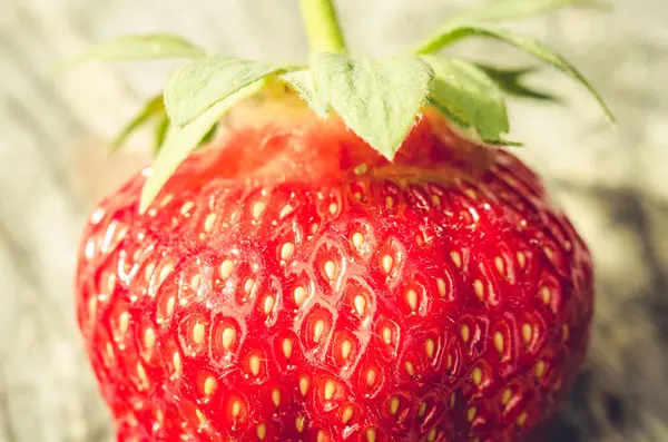 Frische Reife Saftige Erdbeere Frische Reife Saftige Erdbeere Aus Nächster — Stockfoto