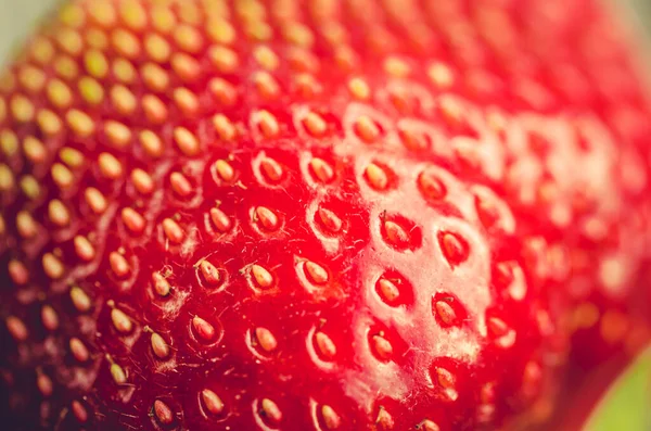 Steine Schließen Frische Reife Erdbeeren Steine Schließen Frische Reife Saftige — Stockfoto