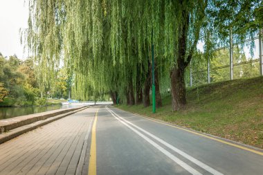 Parktaki bisiklet yolu nehir boyunca yeşil güzel ağaçlarla dolu. Güzel yaz manzarası. 