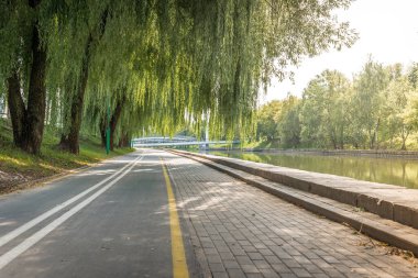 Parktaki bisiklet yolu nehir boyunca yeşil güzel ağaçlarla dolu. Güzel yaz manzarası.