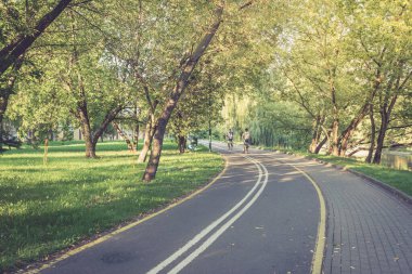 Parkta yeşil çimenler ve ağaçlarla bisiklet yolu. Güzel yaz manzarası.