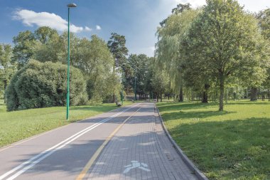 Parkta yeşil çimenler ve ağaçlarla bisiklet yolu. Güzel yaz manzarası.