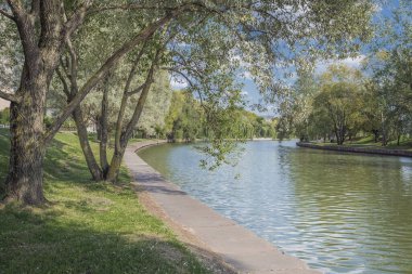 Şehir parkındaki nehir. Yazın güzel manzarası. Nehir boyunca ağaçlar. Güzellik doğası.