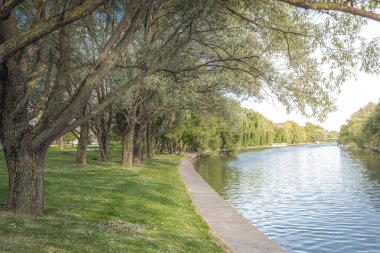 Nehir ve yeşil ağaçlar boyunca park et. Güzel manzara. 