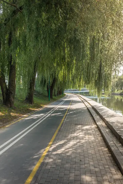 Parkta yeşil ağaçlı bisiklet yolu. Güzel yaz manzarası. 