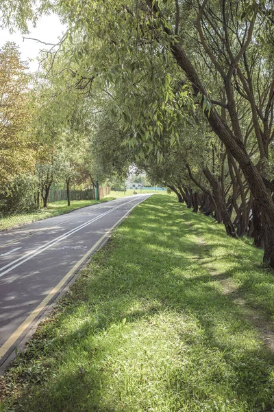 Piste Cyclable Dans Parc Avec Herbe Verte Beaux Arbres Alea — Photo