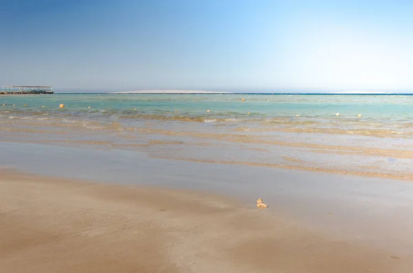 Yaz Günü Bir Sahil Deniz Manzarası Boş Yaz Plajı Güneşli — Stok fotoğraf