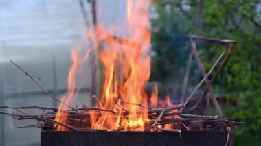 Mangal / kuru dallarda kuru dallar, mangal alevleriyle yanar.