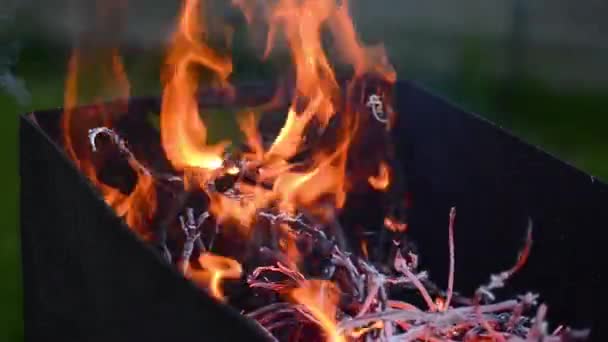 Ogień w starym żelaza mangal / Pożar w starym metalowym brazir. — Wideo stockowe