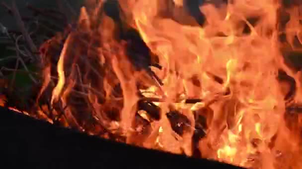 Feuer Alten Eisen Mangal Feuer Brennt Eisen Mangal Nahaufnahme — Stockvideo