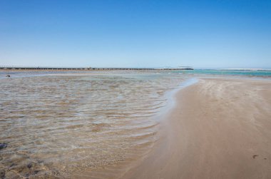 Yaz günü bir sahil ve deniz manzarası. Boş yaz plajı, güneşli bir gökyüzü.
