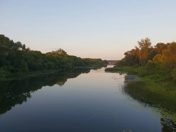 夏の川の風景 — ストック写真