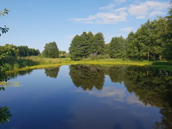 夏の川の風景 — ストック写真