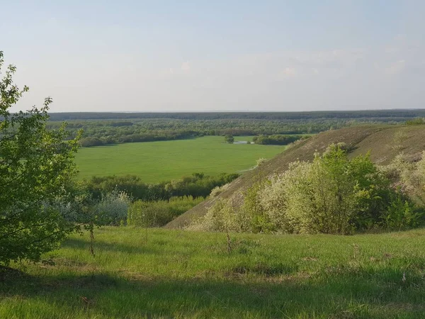 Summer Landscape Field River — Stock Photo, Image