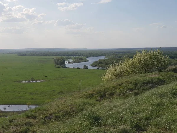 Літній Пейзаж Поля Річки — стокове фото