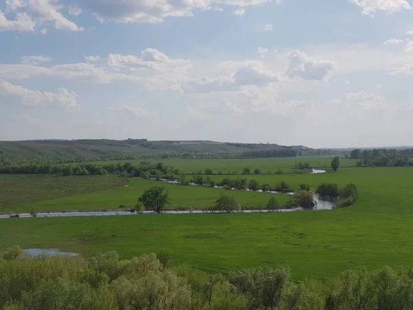 Літній Пейзаж Поля Річки — стокове фото