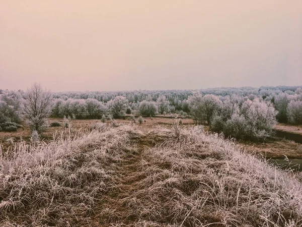 Inverno Ghiacciato Paesaggio Innevato — Foto Stock