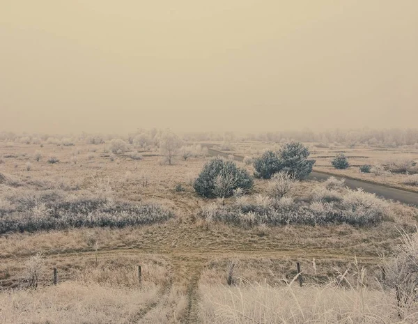 Inverno Ghiacciato Paesaggio Innevato — Foto Stock