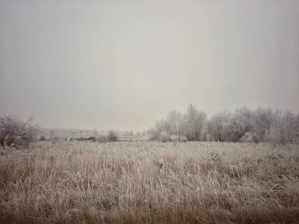 Inverno Ghiacciato Paesaggio Innevato — Foto Stock