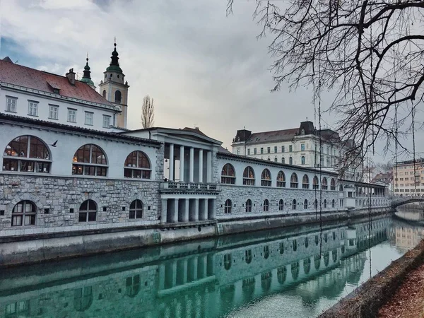 Historical City Center View Ljubljana — 图库照片
