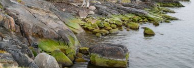 Suomenlinna ada, Finlandiya