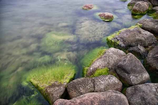 Pedras cobertas por musgo verde — Fotografia de Stock