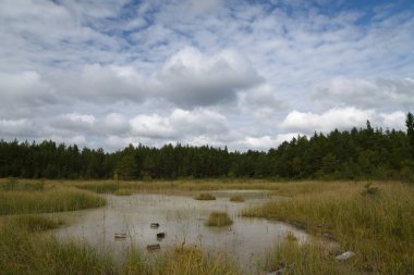 Beyaz göl manzara, Estonya