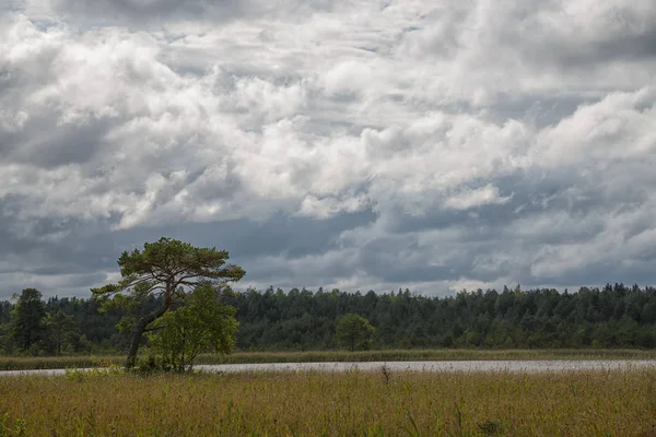 White lake landscape, Estonia — Stock Photo, Image