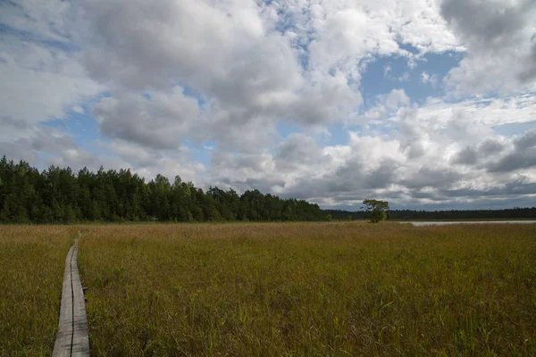 White lake landscape, Estonia — Stock Photo, Image