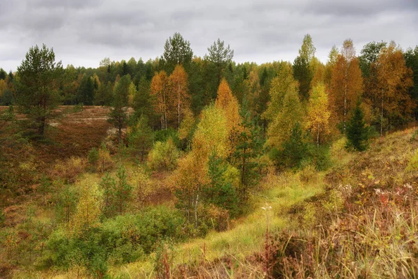 Jussi nature hiking trail, Estonia — Stock Photo, Image