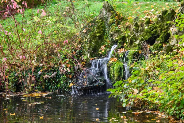 Forêt sonienne en octobre — Photo