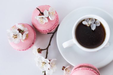 Bir fincan kahve ve bir şube beyaz bir arka plan üzerinde beyaz çiçek ile pembe bademli kurabiye. Fransız tatlı ve çiçek çiçeklenme kiraz. Sakura çiçeklerle pembe acıbadem kurabiyesi  