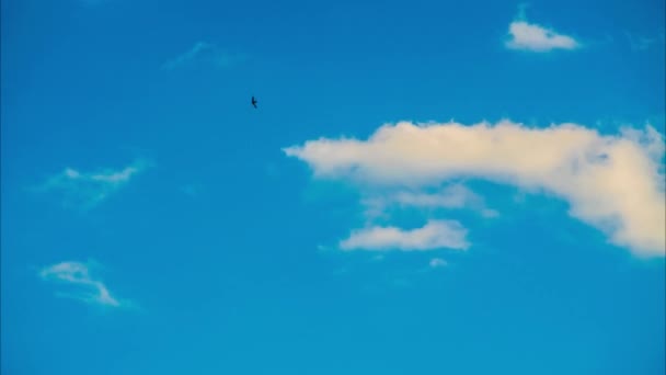 Nuvens Correndo Pelo Céu — Vídeo de Stock
