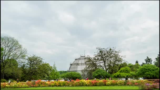 植物園の上を4Kの時間経過走行雲 — ストック動画