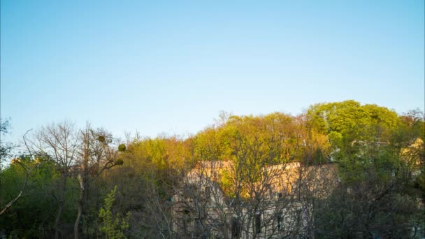 Pôr Sol Sobre Uma Casa Abandonada Floresta — Vídeo de Stock