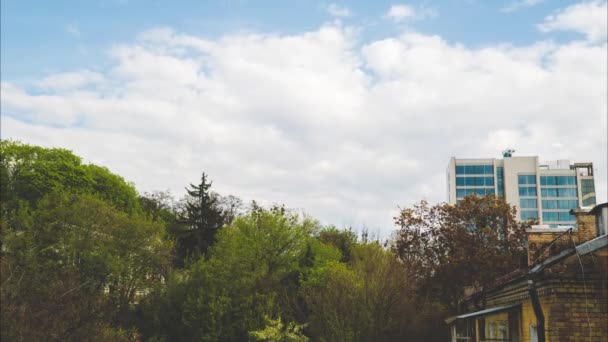 Fliegende Wolken Abendwald Zeitraffer — Stockvideo